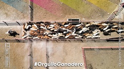 que_acontece's tweet photo. Innovación y tecnología, ejes de Aguascalientes, el Gigante de México para maximizar su producción agropecuaria. https://t.co/ViV2pjAGwm https://t.co/jL3qgKMmrv