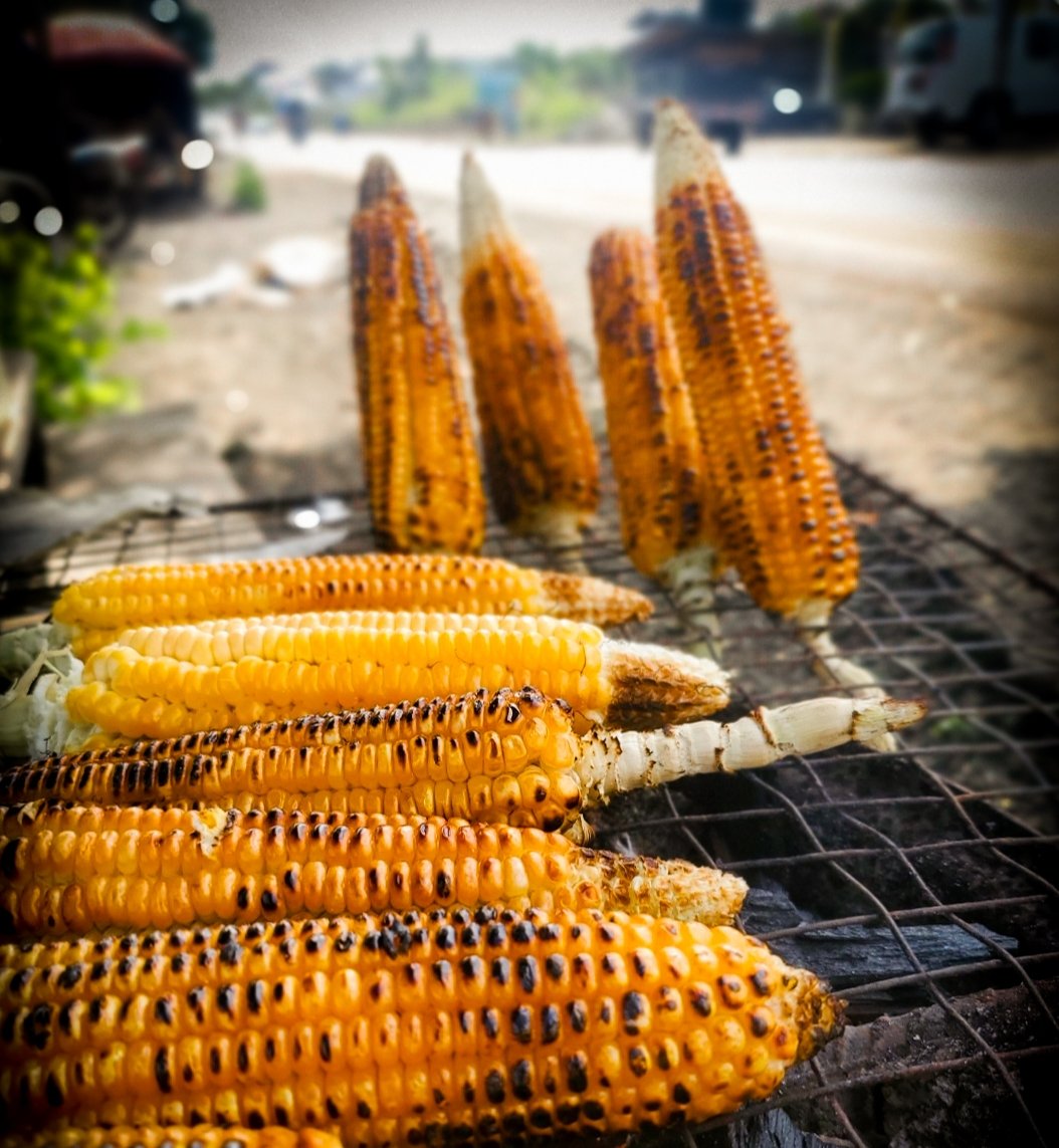escapaventures's tweet photo. Après avoir renversé tout mon village, voici les ressources qui en resortent 🤭🤭  les vaccances approchent,
Venez alors on developpe le Tourisme Gourmand 
@TheTouristG_ et @Ayaadiscovery on part quand? 
#VisitSangmelima
#VisitCamenoon #Tourisme #découverte #Travel https://t.co/OrzLhlOgh3
