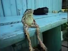 Jatade_'s tweet image. El día de cualquier español de la península ibérica durante el corte de luz.

#CorteDeLuz