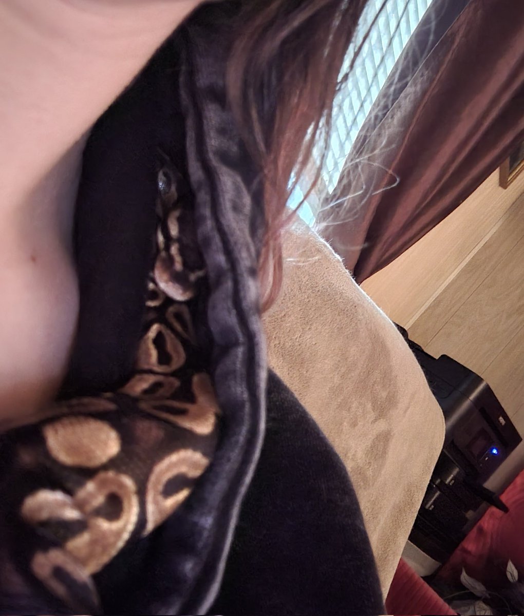 💎♡*✧⁠｡⁠𝑱𝒊𝒍𝒊𝒙𝒊𝒓｡⁠✧⁠*⁠♡💎 tweet media