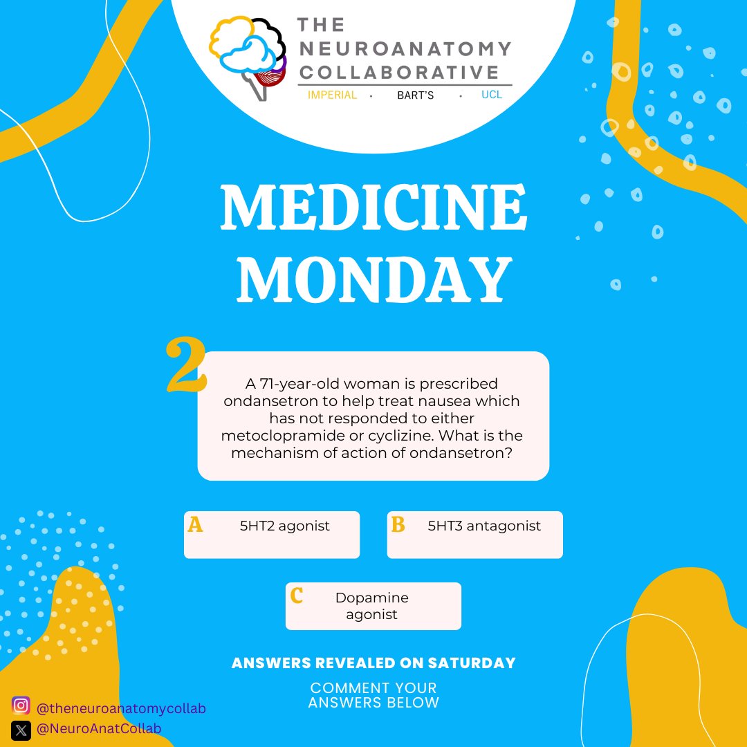 The Neuroanatomy Collaborative tweet media