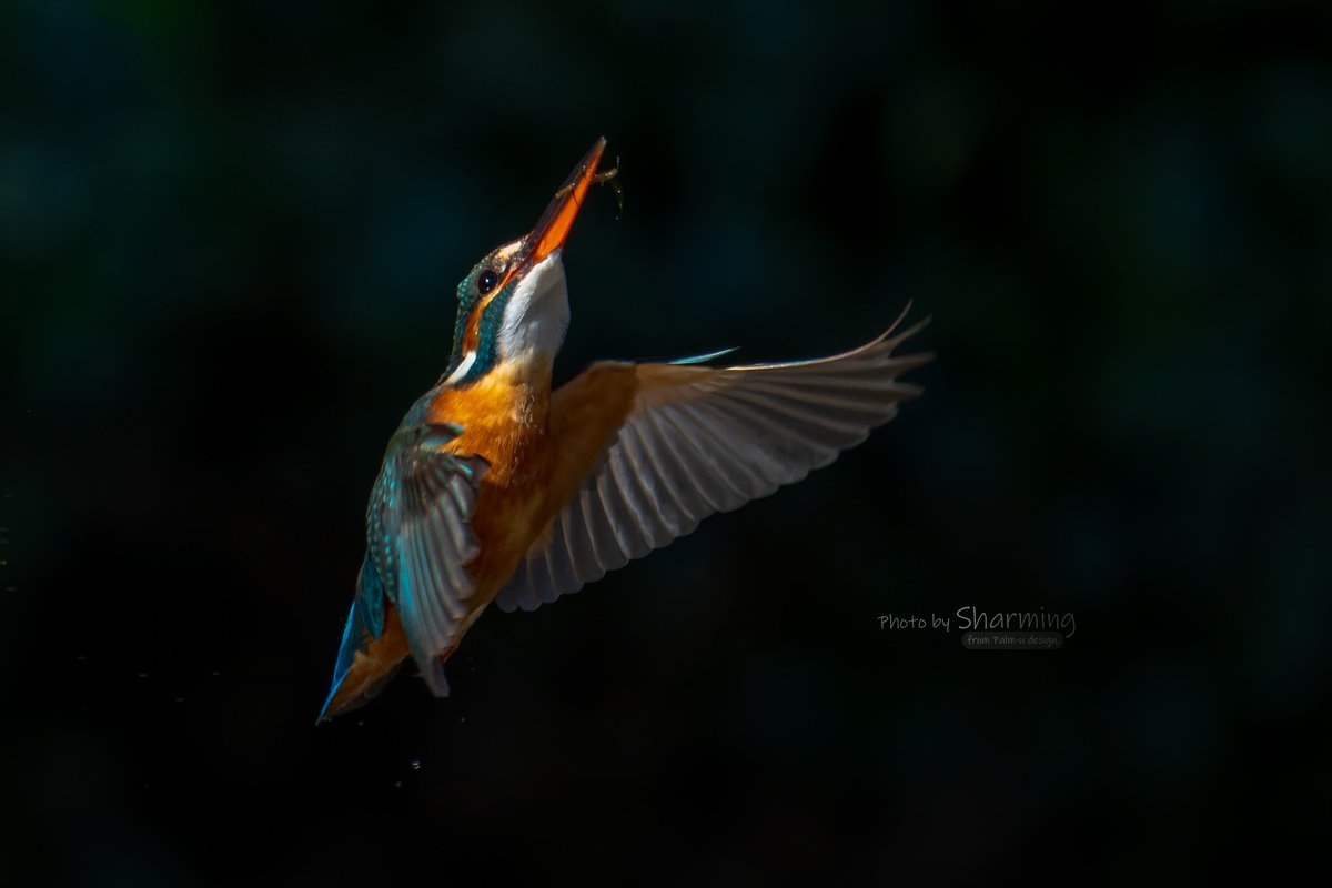 おはようございます😊

晴れだ！
行くぜっ！
どこへ！？😆