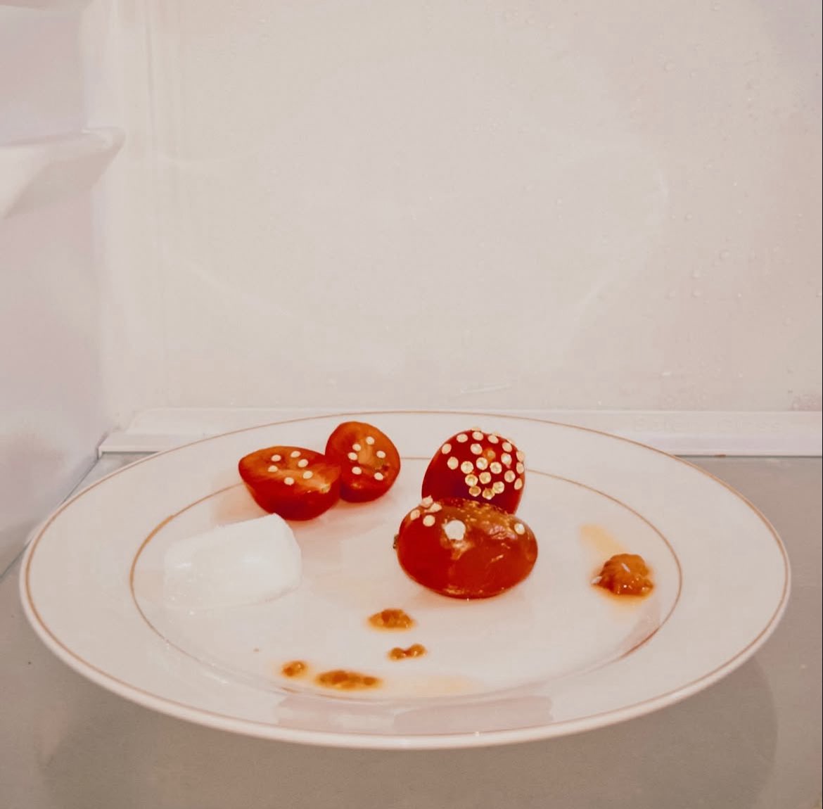 [Laboratoire du vivant métamorphosé]