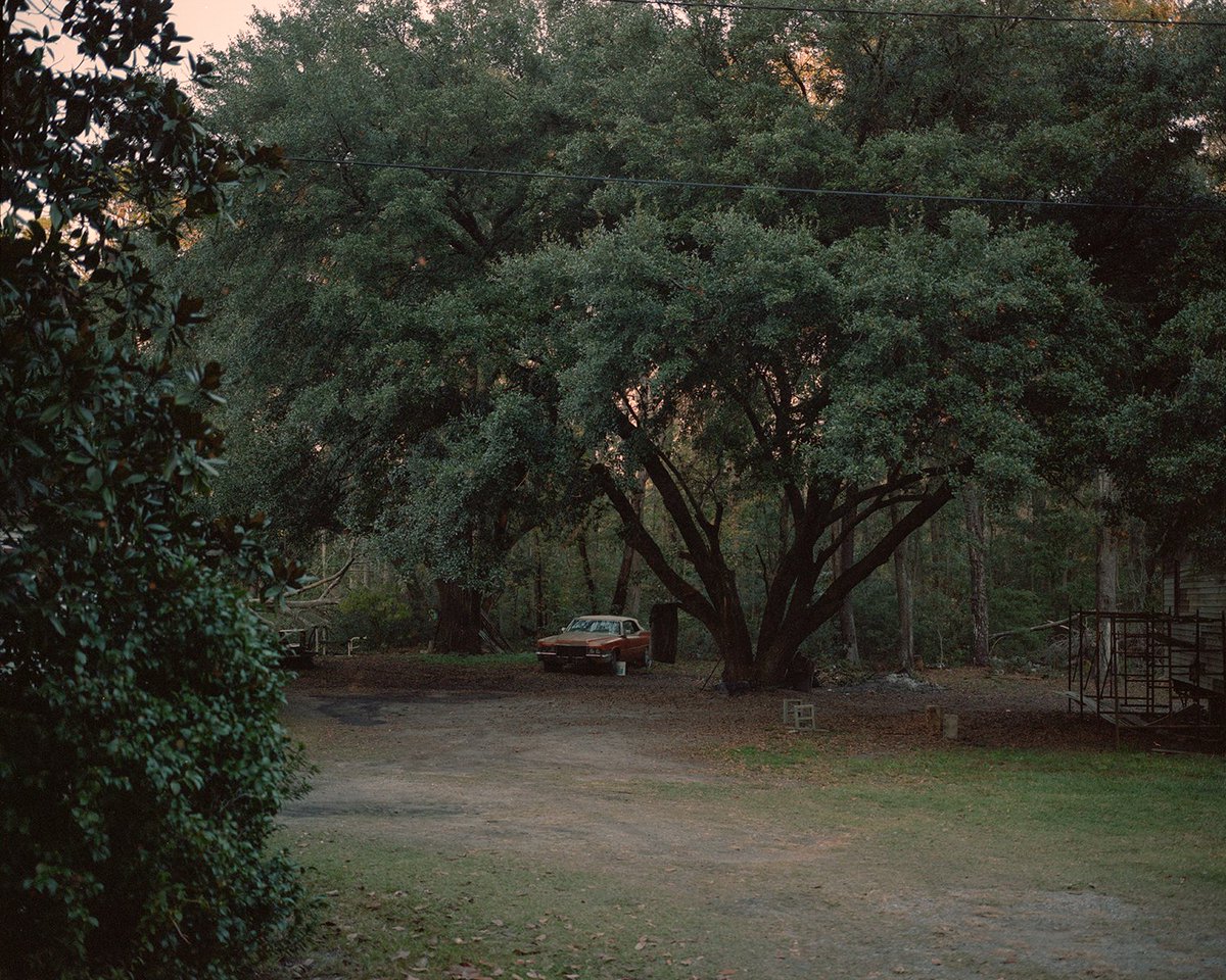 Louisiana 🐊