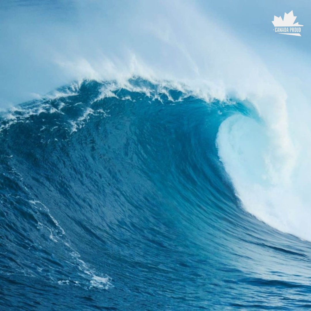 Are you ready for the BLUE WAVE? 🌊