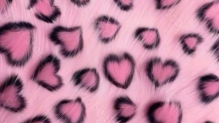 𖥻 ⋮ 𝑴𝒐𝒆𝒓𝒚𝒔𝒕 JFB!!! tweet media