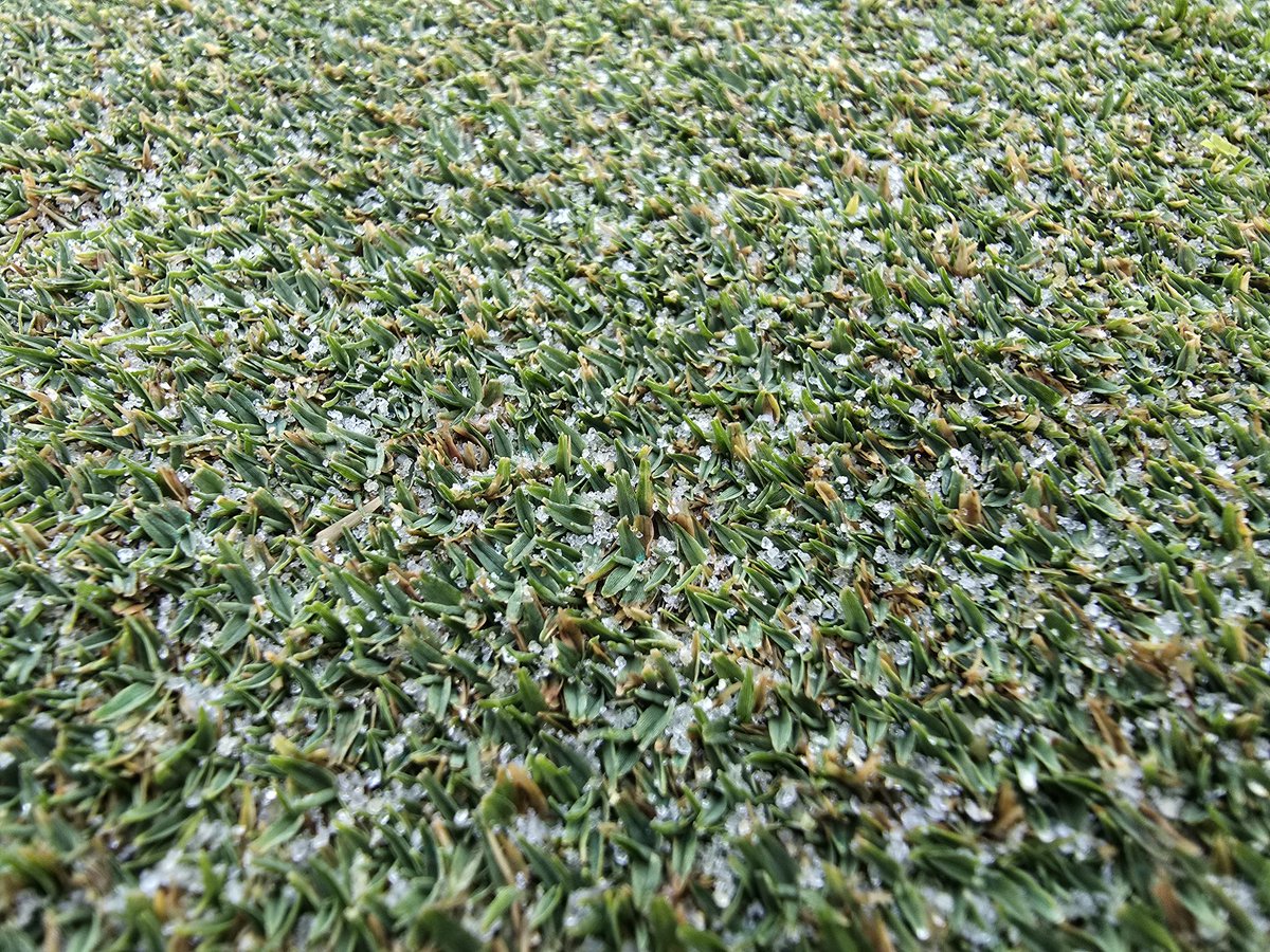 🔥VCUT 
🔥Mow
🔥Topdress 
🔥Roll/Drag
🔥Fert

It's going to be a good summer 😎
