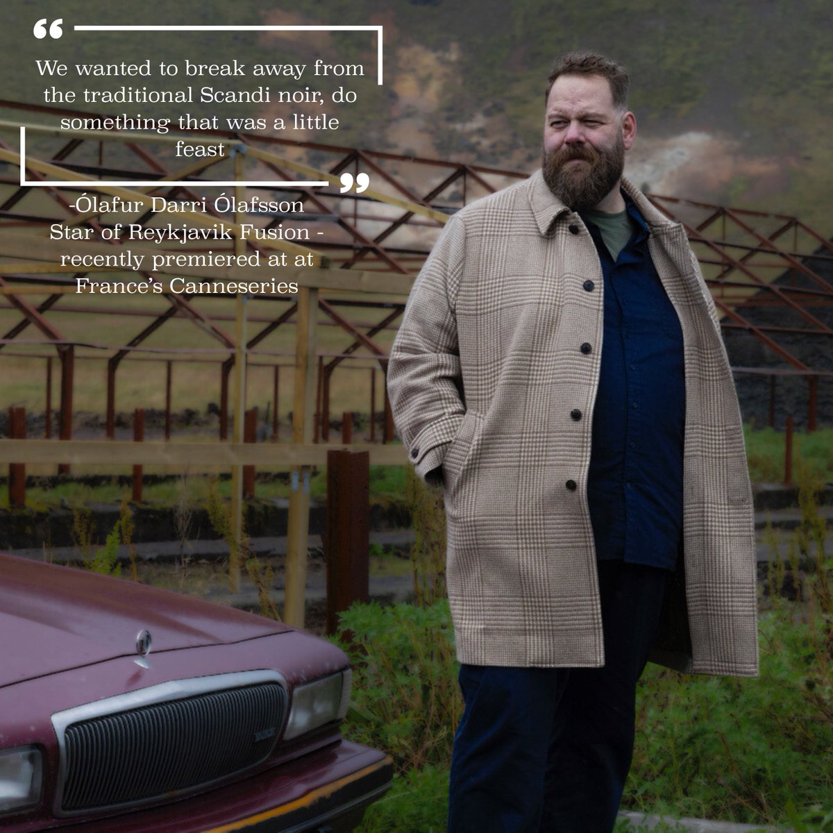 Wild Sheep Content tweet media