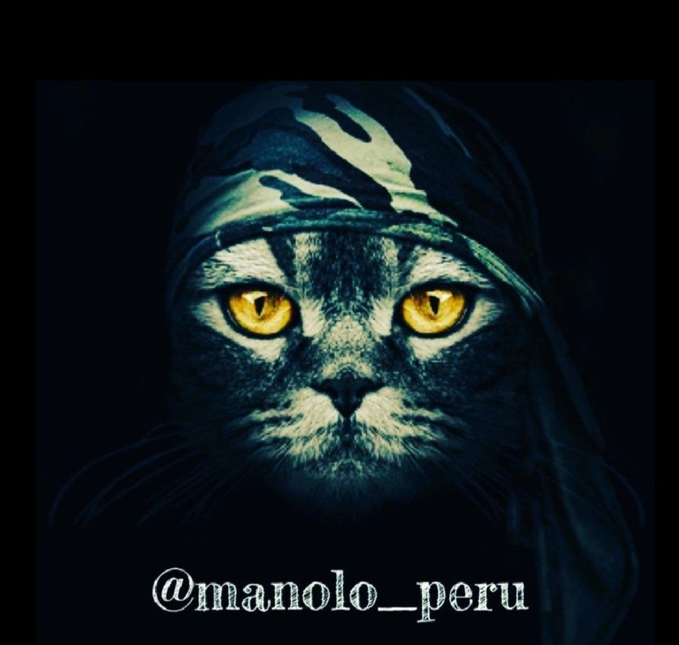 peruvian (@manolo_peru) on Twitter photo Gracias por estar ahí, síguenos
<a href="/AgalvezMari/">MariJoseGalvez🦋🌵</a>
<a href="/ahinamendez/">ahinamendez DM 🚫</a>
<a href="/halconavicencio/">🌹❤️ELENA MIRANDA V.❤️🌹#E̲l̲e̲M̲i̲r̲a̲n̲d̲a̲</a>
<a href="/RobertoW241431/">Roberto</a>
<a href="/ErnieAS333/">Ernie Sangre Azul</a>
<a href="/MiltonEspinel/">MiltonEspinel ↙</a>
<a href="/oscarrodril01/">Oscar Rodriguez</a>
<a href="/PriscillaMabaso/">Priscilla Mabaso</a>
<a href="/alfnav2123/">Ely</a>
<a href="/kitty_894/">๑۩۞۩๑(🌹ヨハンナ🌹)๑۩۞۩๑</a>
<a href="/haydeedelpato16/">🇦🇷👠Haydee Renessi</a>
<a href="/Ojodeguila72264/">Ojo de Águila</a>
<a href="/oundo_gooner/">Dennis oundo</a>
<a href="/tcmuratdemirel/">İcimdesin Kadeh Kadeh⚡</a>
<a href="/Kheyra12SV/">✨️kirita✨️</a>
<a href="/silnreginaa/">Silvia</a>
<a href="/kamil_gk/">kamil ali gök</a> Gracias por estar ahí, síguenos
<a href="/AgalvezMari/">MariJoseGalvez🦋🌵</a>
<a href="/ahinamendez/">ahinamendez DM 🚫</a>
<a href="/halconavicencio/">🌹❤️ELENA MIRANDA V.❤️🌹#E̲l̲e̲M̲i̲r̲a̲n̲d̲a̲</a>
<a href="/RobertoW241431/">Roberto</a>
<a href="/ErnieAS333/">Ernie Sangre Azul</a>
<a href="/MiltonEspinel/">MiltonEspinel ↙</a>
<a href="/oscarrodril01/">Oscar Rodriguez</a>
<a href="/PriscillaMabaso/">Priscilla Mabaso</a>
<a href="/alfnav2123/">Ely</a>
<a href="/kitty_894/">๑۩۞۩๑(🌹ヨハンナ🌹)๑۩۞۩๑</a>
<a href="/haydeedelpato16/">🇦🇷👠Haydee Renessi</a>
<a href="/Ojodeguila72264/">Ojo de Águila</a>
<a href="/oundo_gooner/">Dennis oundo</a>
<a href="/tcmuratdemirel/">İcimdesin Kadeh Kadeh⚡</a>
<a href="/Kheyra12SV/">✨️kirita✨️</a>
<a href="/silnreginaa/">Silvia</a>
<a href="/kamil_gk/">kamil ali gök</a>