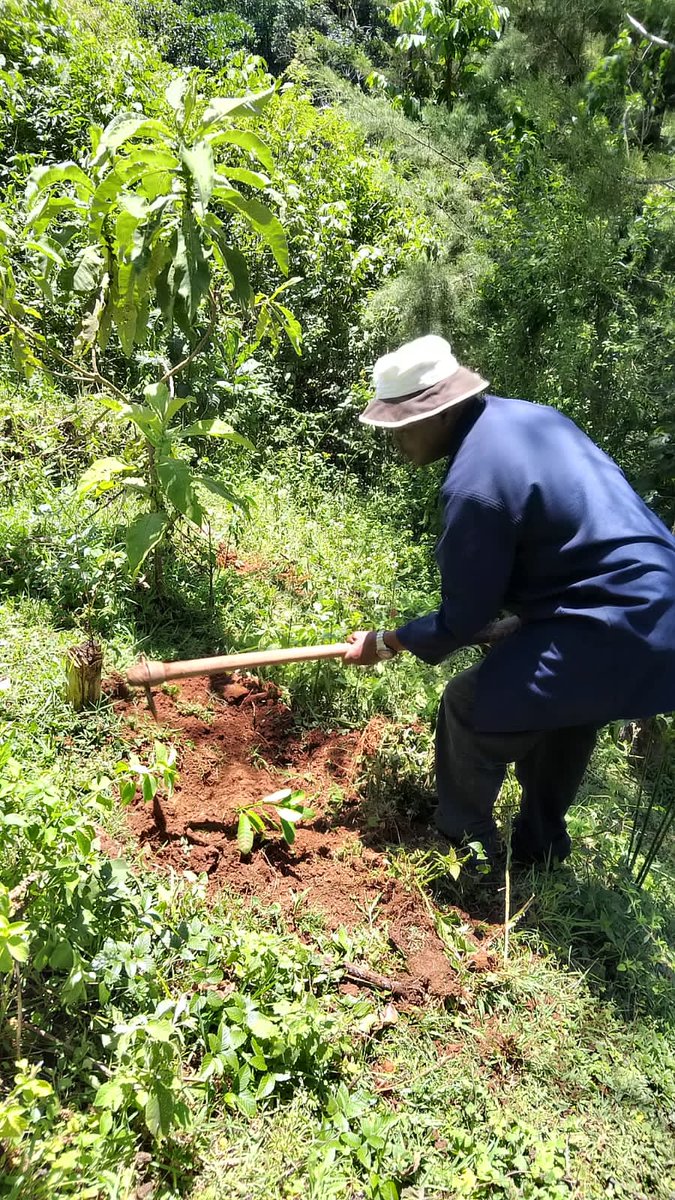 Planting a tree today secures a greener, healthier tomorrow.
Trees fight climate change, clean our air, protect biodiversity, and cool our cities.
Every tree matters. Every action counts.
Let’s root for change!
#TreePlanting #ClimateAction #GreenPlanet #Sustainability #EcoWarrior