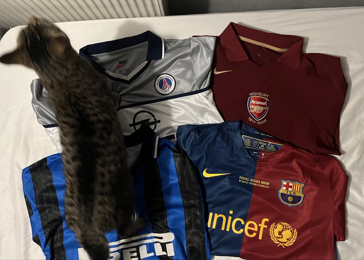 ModernWrighty's tweet image. pic idea got photobombed