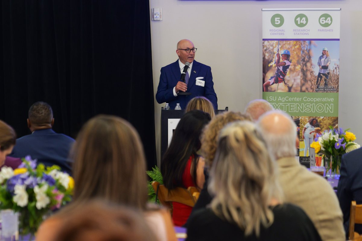 Matt Lee tweet media