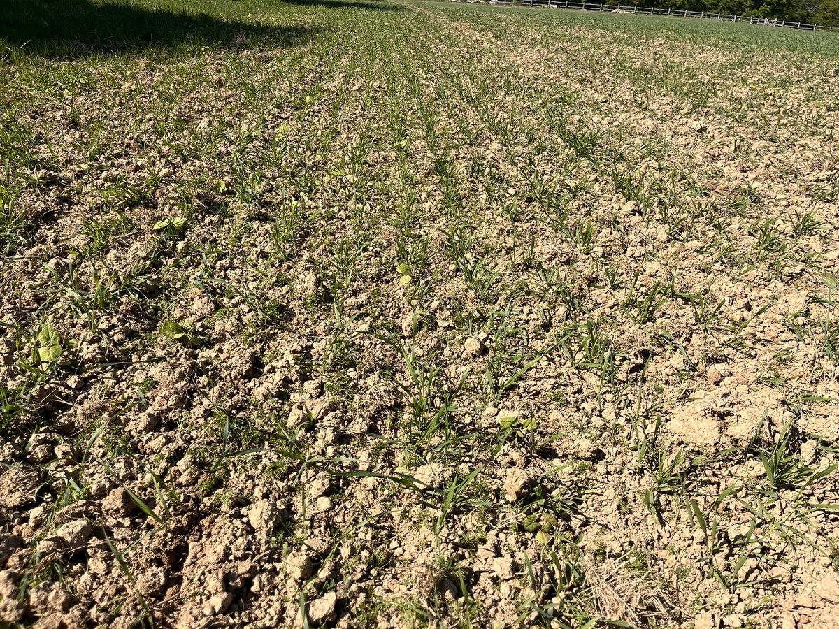 AnthonyBecvar tweet media