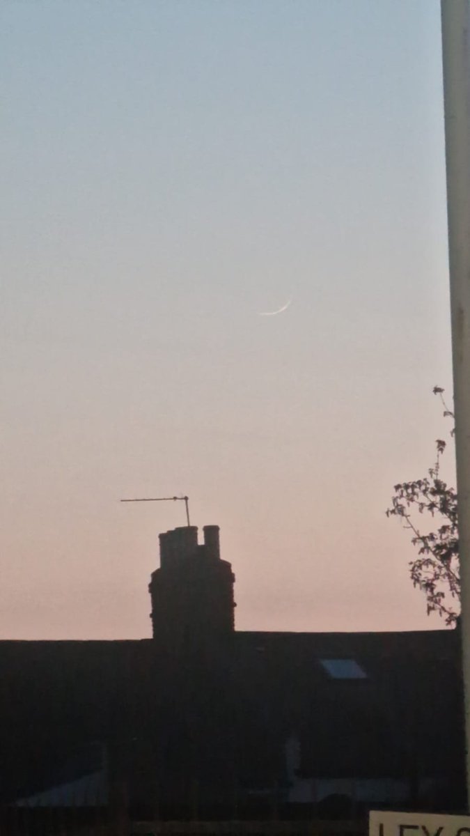 Seven Kings - Positive sighting