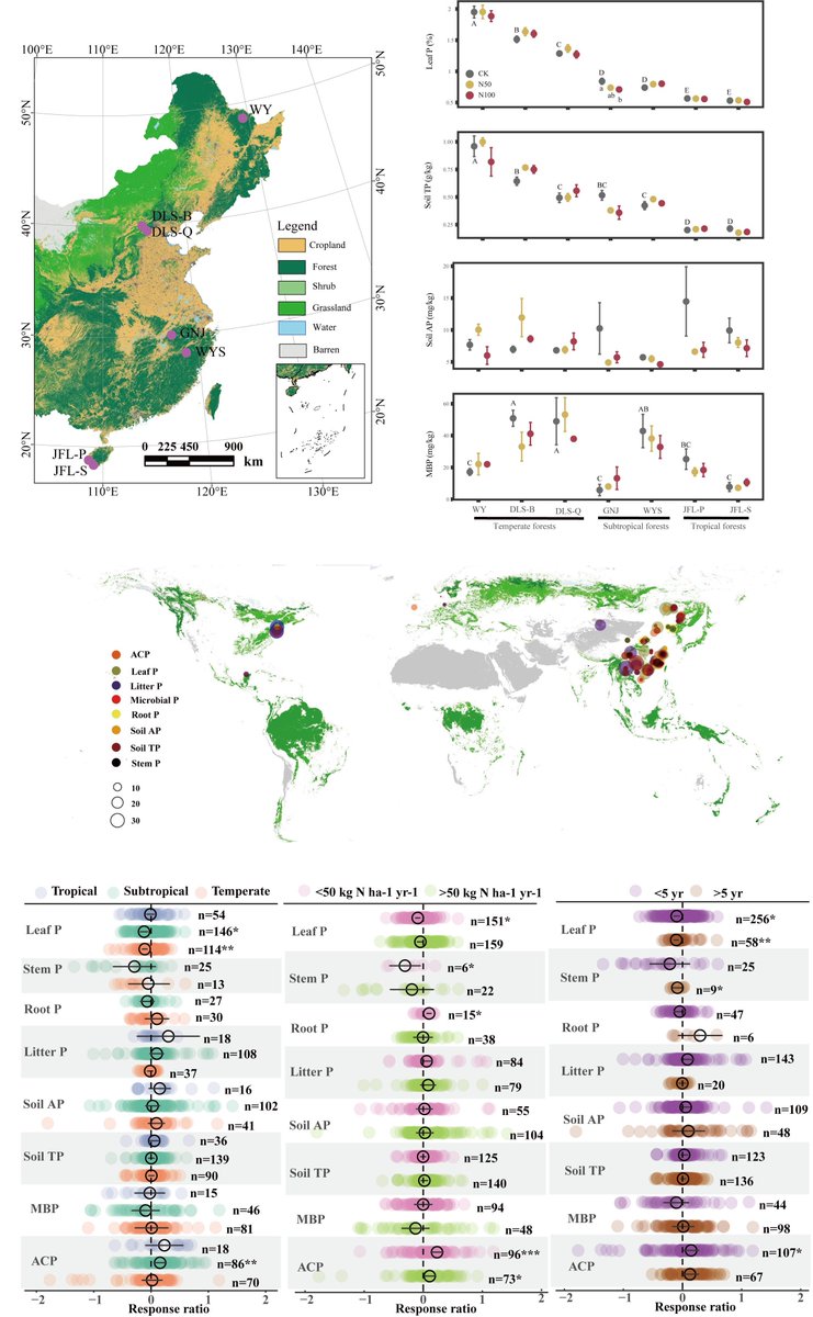 Field Experiments and a Meta‐Analysis Reveal a Minor Influence of Nitrogen Addition on Phosphorus Fractions in Forests 

📄 buff.ly/UTOGu7a