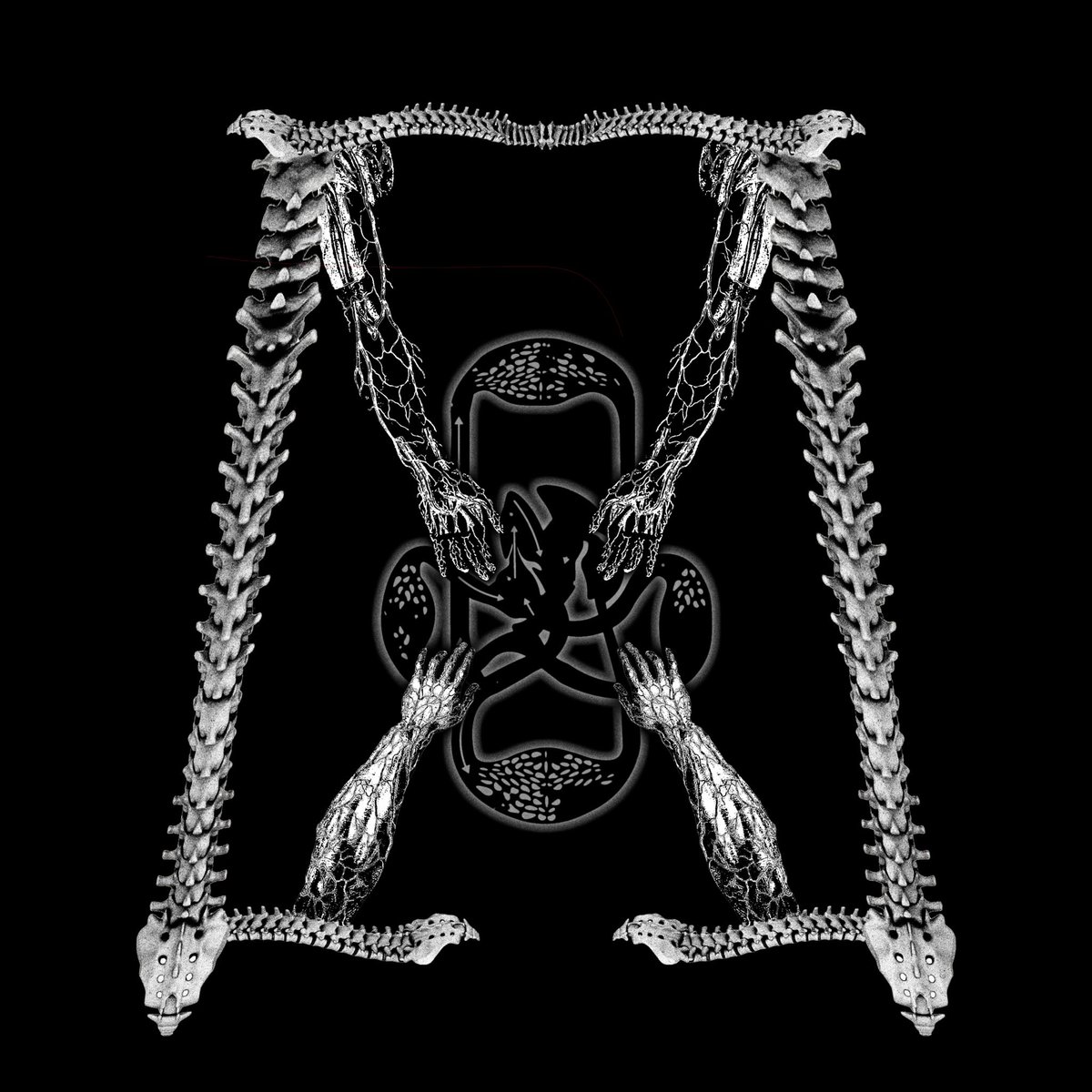 lipcritic (@lipcritic) on Twitter photo 