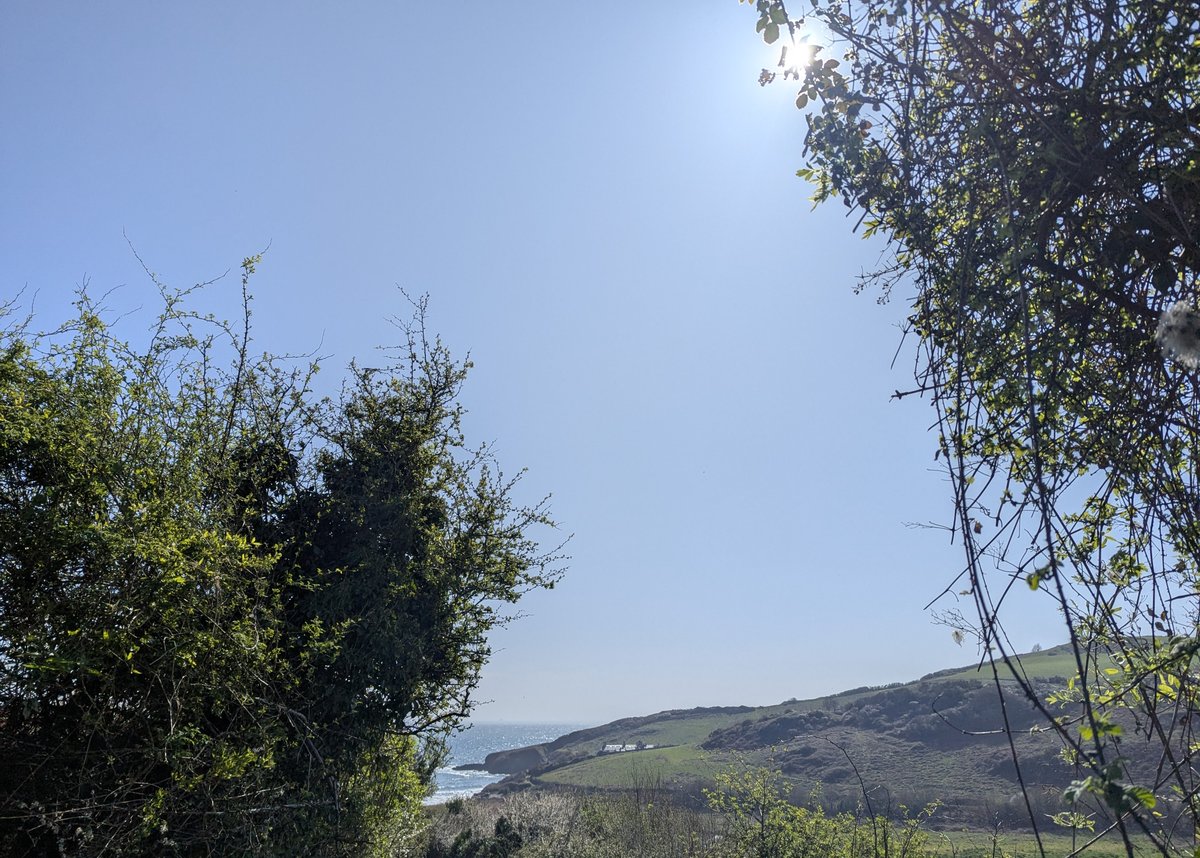 nickbiss39's tweet image. Breathtaking walks (in both senses) by the sea #SmallBeautiesHour #BecauseOfClem #ThreadOfGold