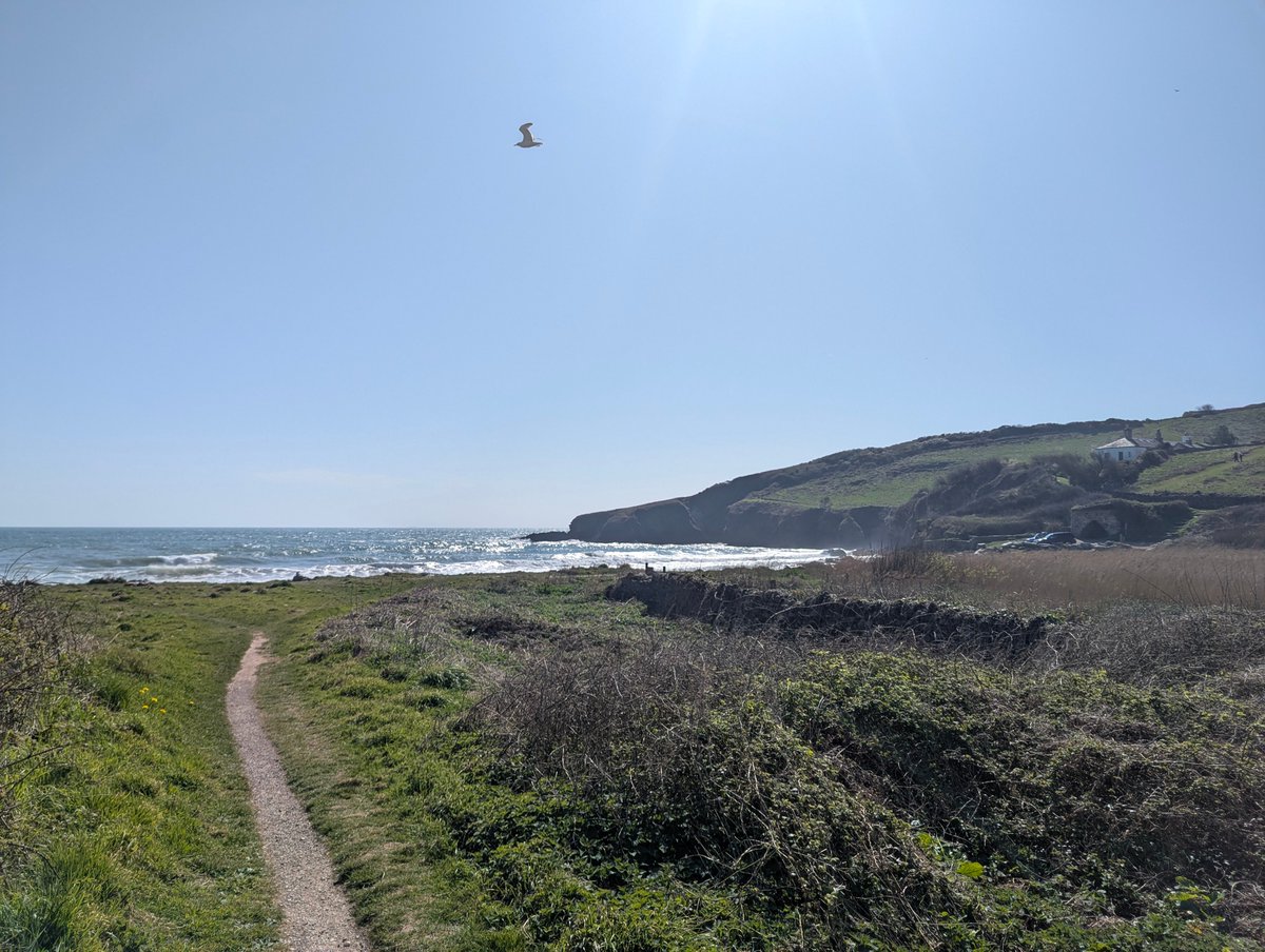 nickbiss39's tweet image. Breathtaking walks (in both senses) by the sea #SmallBeautiesHour #BecauseOfClem #ThreadOfGold