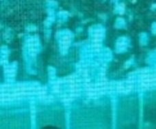 telegenicz's tweet photo. Me @stapelgeeek and @kugelis0 😭🫶🏼 https://t.co/HVOCguX2Le