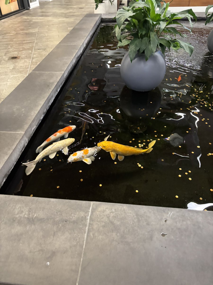 H1ghSky1 tweet media