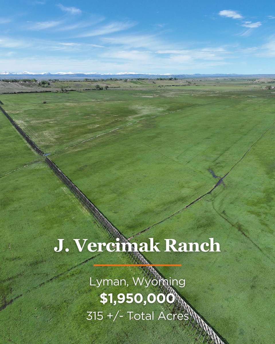 MirrRanchGroup tweet picture