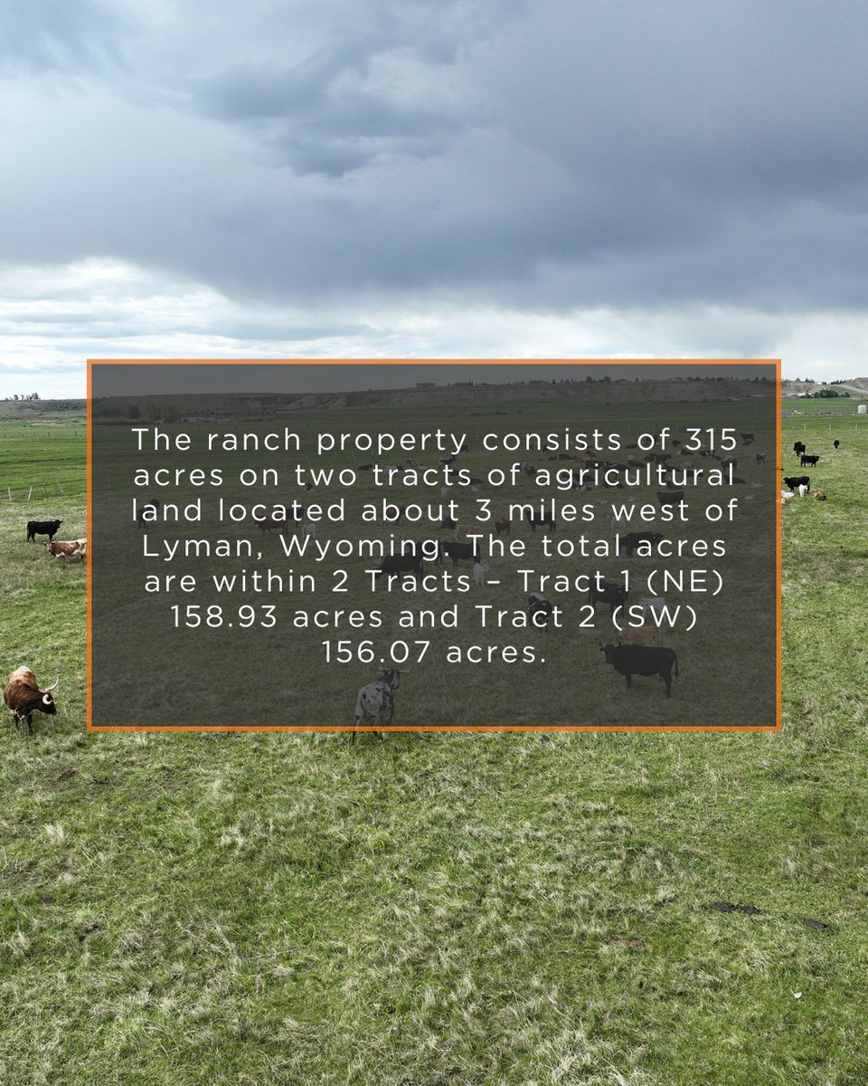MirrRanchGroup tweet picture