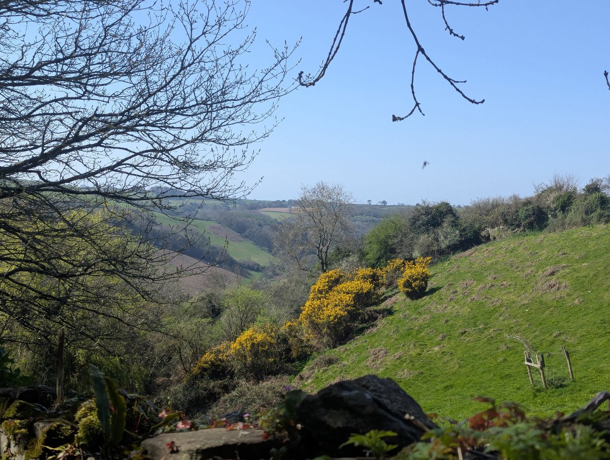 nickbiss39's tweet image. The vibrant colours of spring #SmallBeautiesHour #BecauseOfClem #ThreadOfGold