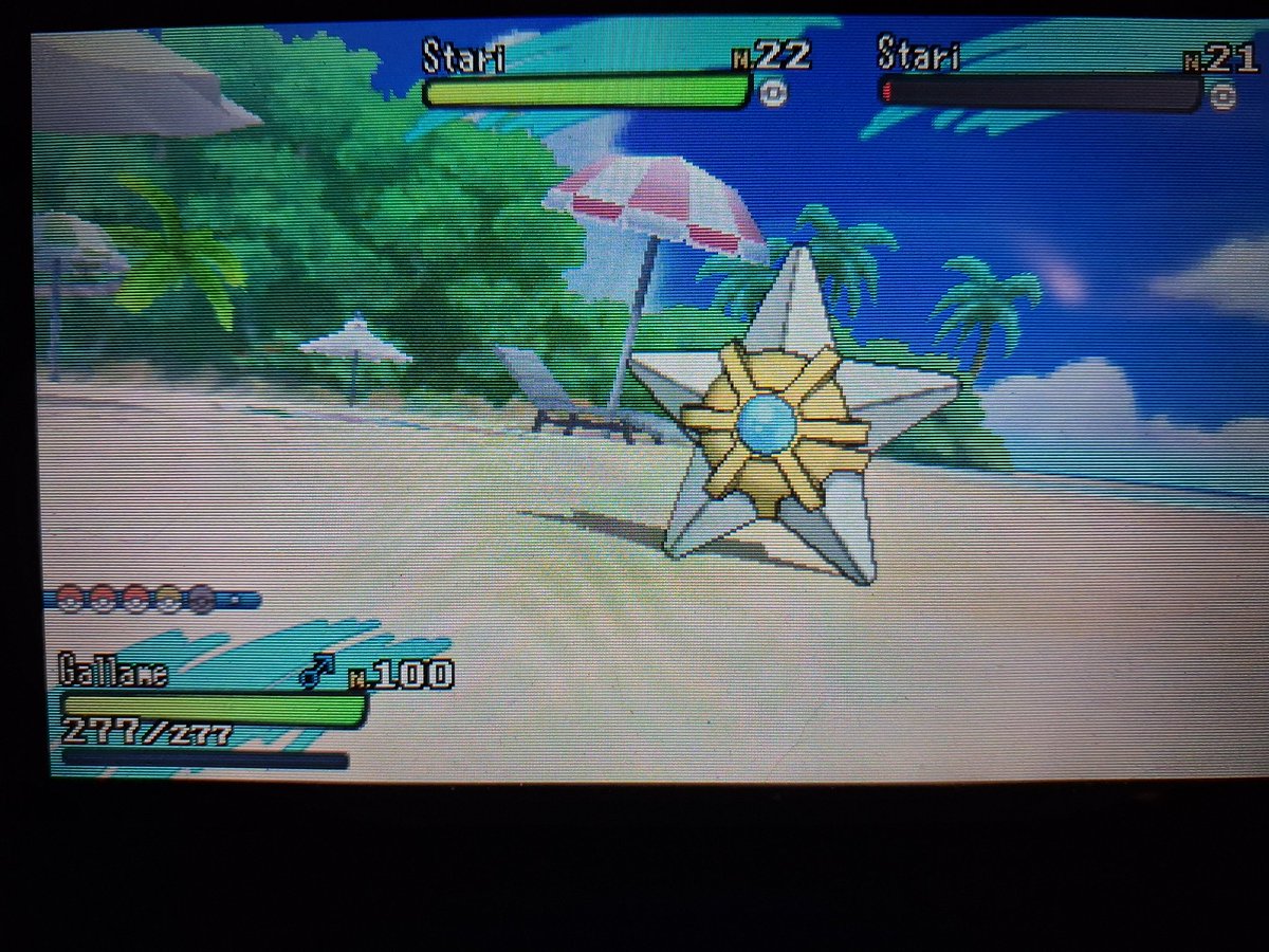 QuentinDSeto's tweet photo. Petit stari shiny trouvé en 66 appel SOS sur la plage Hano-Hano (Lune). Merci @AquaBraiseSH pour l'idée de la cible de ce SOS 👌🏻
@TheHolomovement https://t.co/jTGtEFgQ0V