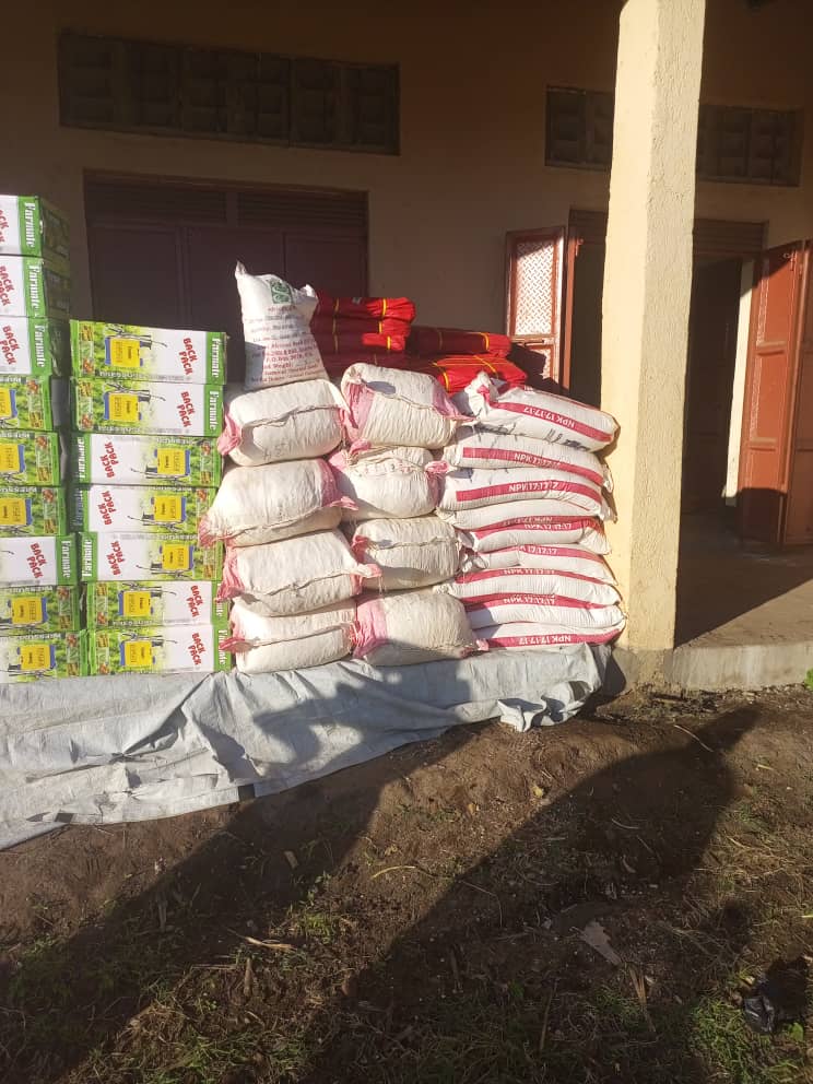 Kasenda Youth Farmers Association in Kabarole District today received agro-inputs using the Input Voucher System. The #LEGS project introduced IVS to help beneficiary small-holder farmers to access high-quality agricultural inputs (seeds, livestock, farm equipment, etc) at