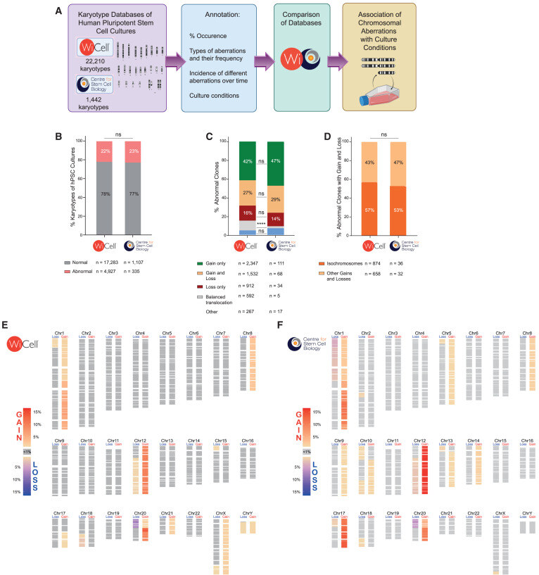Cell Press (@cellpressnews) on Twitter photo Feeder-free culture of human pluripotent stem cells drives MDM4-mediated gain of chromosome 1q
hubs.li/Q03gkHCg0
<a href="/insigneo/">Insigneo Institute</a> <a href="/neuroshef/">Neuroscience Institute</a> <a href="/sheffielduni/">The University of Sheffield</a>
Collection highlight from <a href="/stemcellreports/">StemCellReports</a>
<a href="/martinperaJAX/">Martin Pera</a> Feeder-free culture of human pluripotent stem cells drives MDM4-mediated gain of chromosome 1q
hubs.li/Q03gkHCg0
<a href="/insigneo/">Insigneo Institute</a> <a href="/neuroshef/">Neuroscience Institute</a> <a href="/sheffielduni/">The University of Sheffield</a>
Collection highlight from <a href="/stemcellreports/">StemCellReports</a>
<a href="/martinperaJAX/">Martin Pera</a>