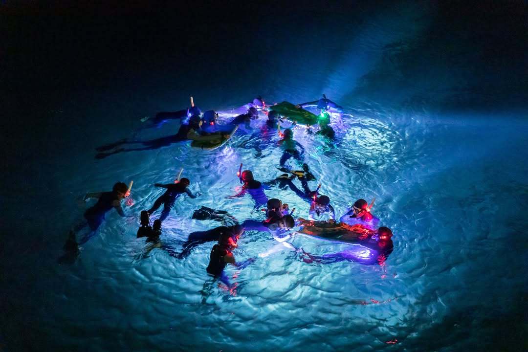 Diving into the magic of the ocean after dark! Our young explorers at CIMI get a front row seat to the wonders of marine nightlife!

.
.
.
.
.
.
#nightsnorkel #snorkel #divedeck #catalinaisland #snorkelcatalina #learntosnorkel #ocean #pacificocean #snorkelthepacific