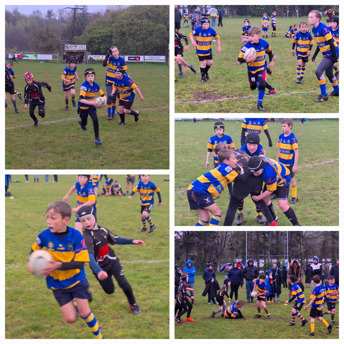 Somerton Rugby tweet media