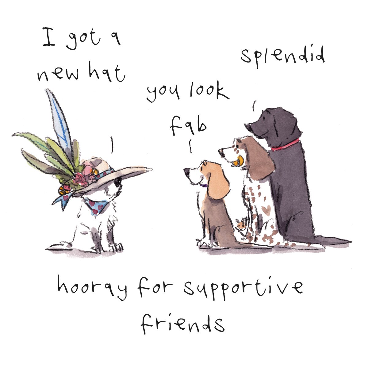 iaindwelch's tweet photo. Good night, lovely people and lovely dogs.
The westie has a new hat.
Sleep well and sweet dreams.
I hope that you have a fab day tomorrow. 
#hoorayfordogs #westie #beagle #springer #labrador #redsquirrel https://t.co/9D4FLUqe49