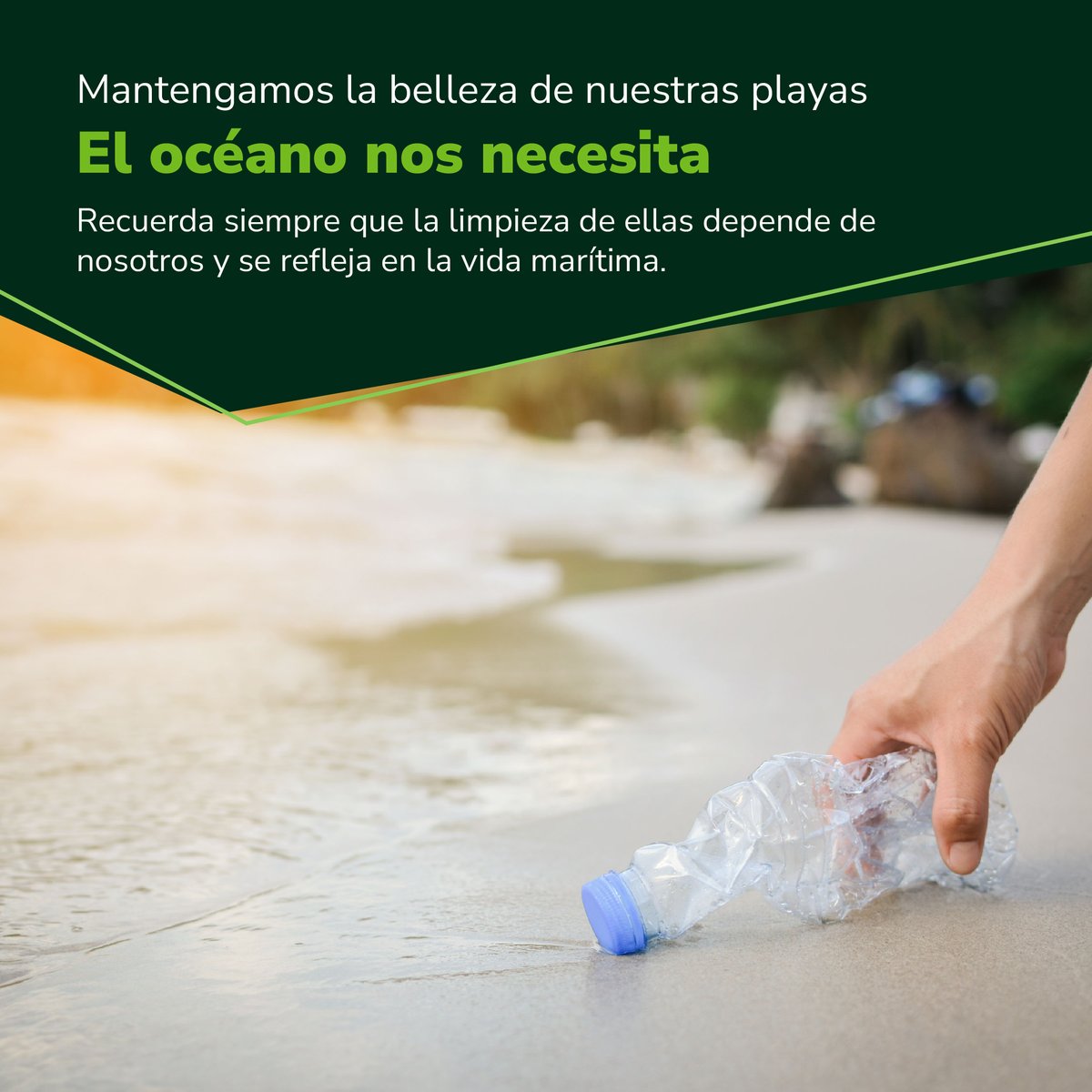 Cuidar el océano es cuidar la vida 🌐🐚
Evitemos contaminar nuestras playas.