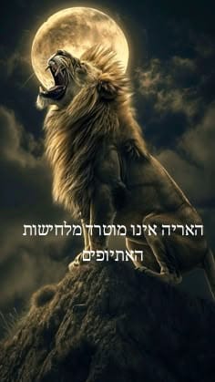 דאבליו דאבליו דאבליו (@jweissu) on Twitter photo 