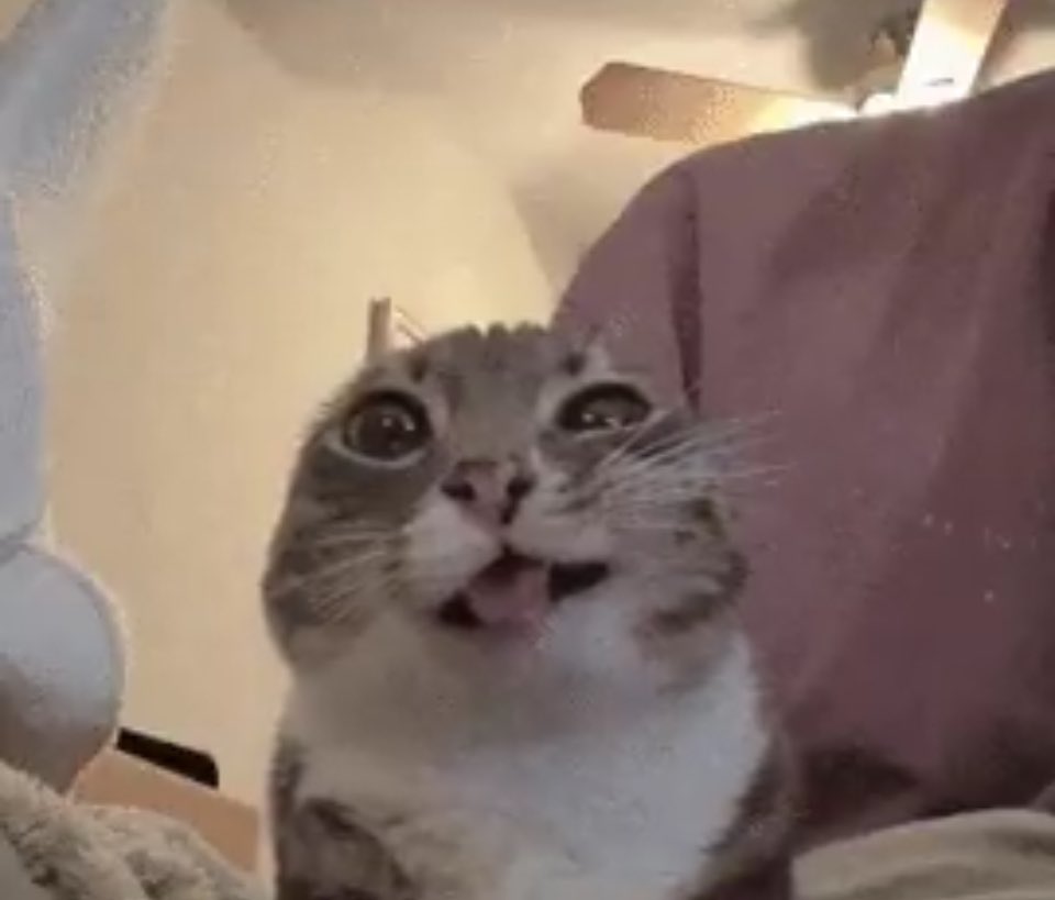 riotgrrrlls's tweet image. -‘๑’- #promotwt

★ - hailey, she/her
★ - basic dni
         &amp;gt;ᴗ&amp;lt;
      皿 卌 击̸
#paramoretwt #mcrtwt #5sostwt   ♡ or ⟳ to be moots!!