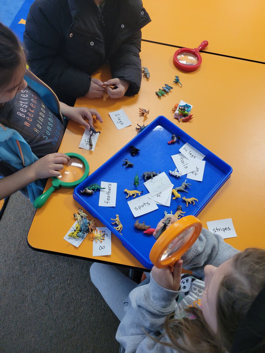 1st graders explored animal's external features🦚🕷🐆🦓🐒, which help them live, grow, and meet their needs. Then, they created their "wild selves" by giving themselves animal features to help in their daily lives! 😀😍
#STEAM #STEM #NGSS #handsonlearning