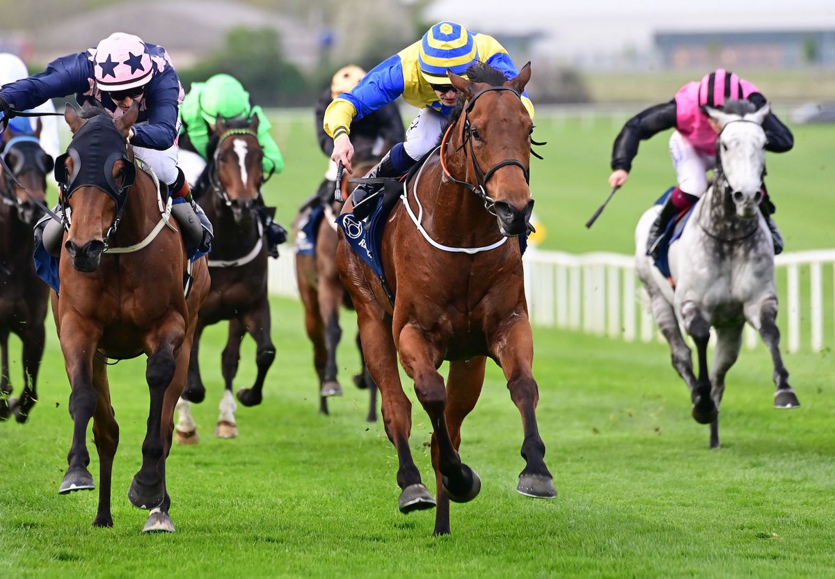 Progressive Sprinter The Latest Stakes Winner By Starspangledbanner.
Two Stars (5g Starspangledbanner – Glowing Star, by Clodovil) maintained his upward curve when registering his first black-type... bit.ly/4cW8sKP