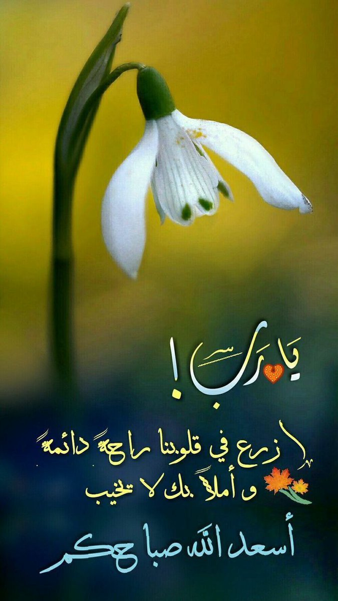 .
كل مانحتاجه في زمننا هذا
هو مصداقية المشاعـــر
ومصداقية التعامــل
فلا تبحثوا عـــن
الحـــــــــــــب
بل ابحثــوا
عن المحبة
ابحثوا عن
الإخــــلاص
ابحثوا عــــن
القلوب الطيبـة
ابحثوا عن الصفاء
فهو عبير المـــــودة
والإحترام والصــــدق
هو جوهر الإنســــــــــان

صباح الخير💙💛