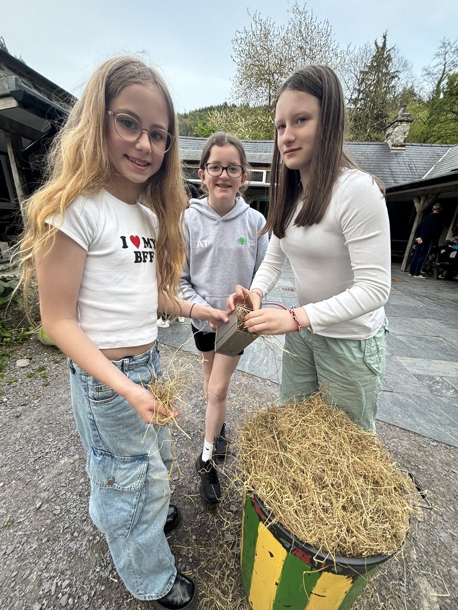 ElmsSchool's tweet photo. Year 6 have had a fab time assembling their small mammal traps and setting them, looking forward to seeing what we’ve caught tomorrow! #GoFurther #Mousehouse #Stuffthattrap https://t.co/oFzMPszXyb