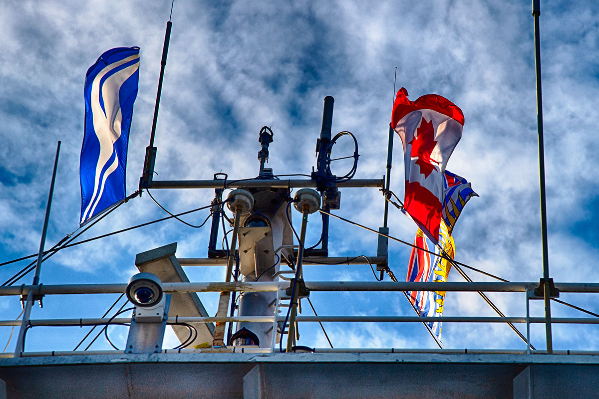 🇨🇦 True North Strong and Free 🇨🇦 #canada #elbowsup #madeincanada #buycanadian #flagaday