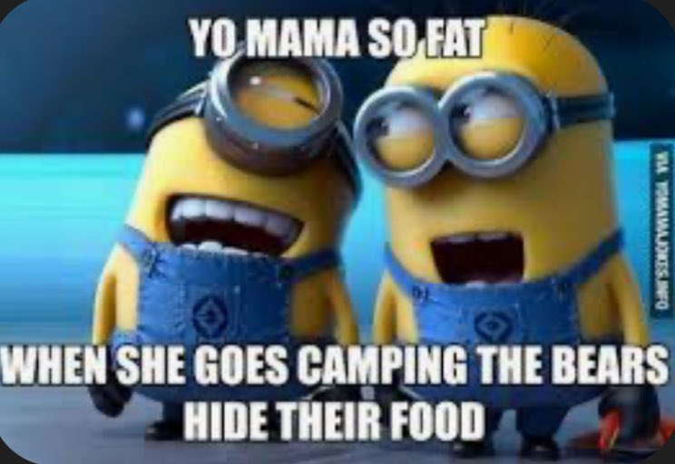 Yo mama so fat, when she walked past the TV, I missed three seasons of Seinfeld 

Yo mama so fat, Thanos had to snap twice and he still missed her.

What is your best yo mama so fat joke🤣
