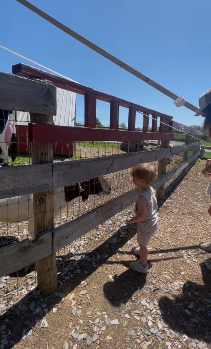 dallan yoh tweet media