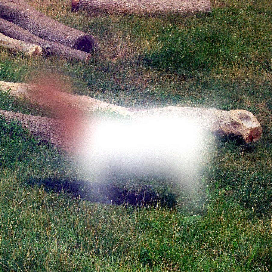 Gaussian Goat, Harm van den Dorpel (2007)