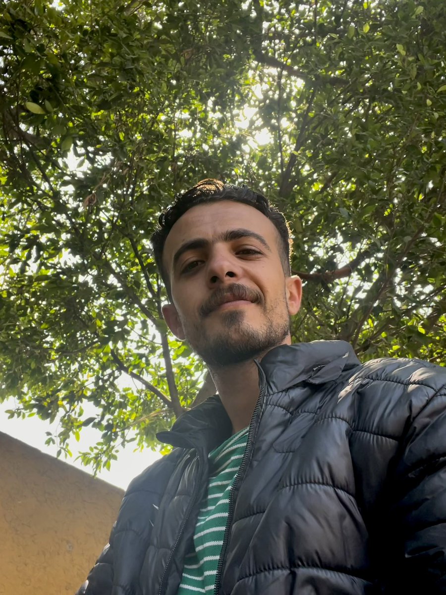 OmarHamadD's tweet photo. Having a large tree in Gaza is extremely rare. I really wanted to document this moment, and I felt a bit of safety beside it. So, I made a promise to myself to visit it regularly for as long as it remains standing. https://t.co/p6I8P5MrJL
