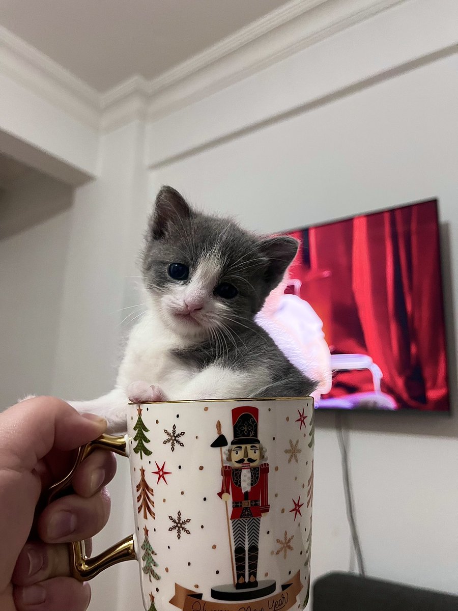 Ekstra köpüklü catlatteler içildi mi kızlar💅♥️