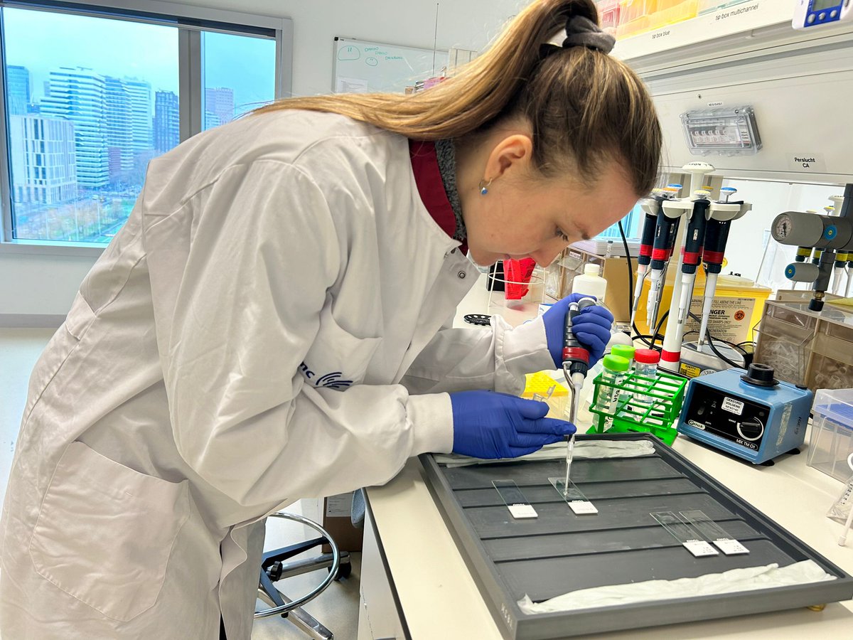 Over the past 2 months, our PhD student Tina Kolenc Milavec was back at VUMC, working on the spatial features of the GB microenvironment using Imaging Mass Cytometry. Huge thanks to Febe van Maldegem, Meggy Verdonschot, and the whole team for the support and warm welcome!