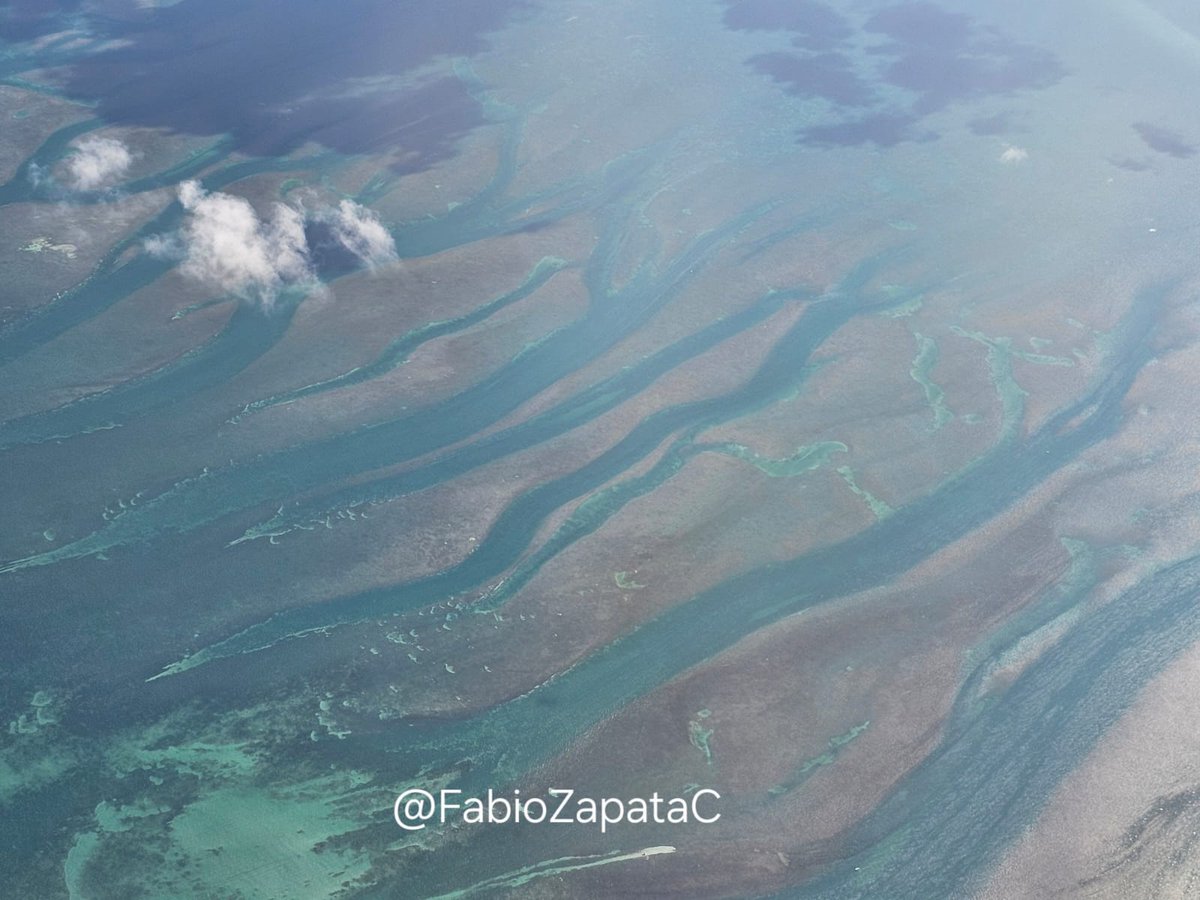 Planet Earth is fascinating! Every day of my life learn from our mother Earth. It is wonderful. 😊😊 <a href="/UNEP/">UN Environment Programme</a>  <a href="/ProjectDrawdown/">Project Drawdown</a> <a href="/THE_WATERMASTER/">Watermaster Finland</a> Water is the basis of our lives and we must act to keep our water bodies clean <a href="/GWFWater/">Global Water Forum</a> <a href="/IWAHQ/">International Water Association</a> <a href="/UN_Water/">UN-Water</a> <a href="/smartwatermag/">Smart Water Magazine 💧</a> <a href="/WorldBankWater/">World Bank Water</a>