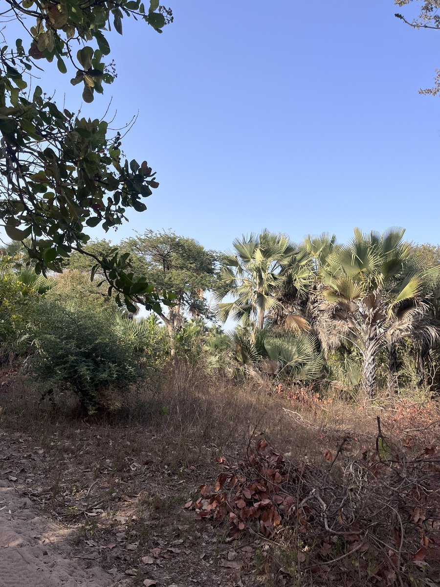 Buba (@buba11464) on Twitter photo 