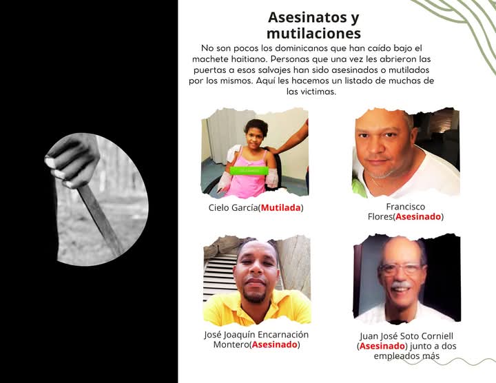 NuevaRD tweet media
